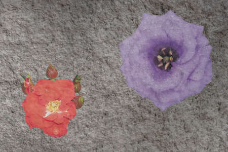 An image of a lilac eustoma flower and a red rose against the background of a gray stone structure, made from three shots by superimposing one frame on another.の写真素材