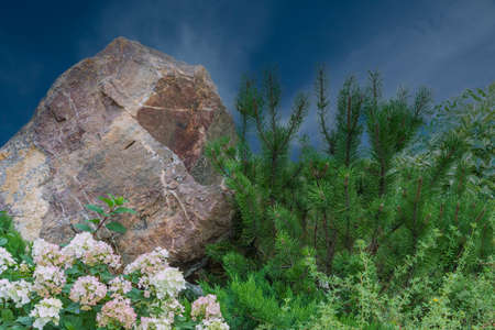 Landscape Rock formation close-up framed by light flowers and green coniferous vegetation against the blue sky on a summer day.の写真素材