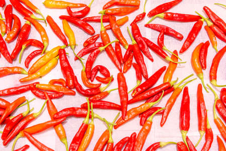 Close-up of fruits of red chili peppers, laid out to dry.