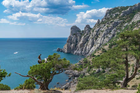 an amazing view opens from the mountains to the Black Sea coast.の写真素材