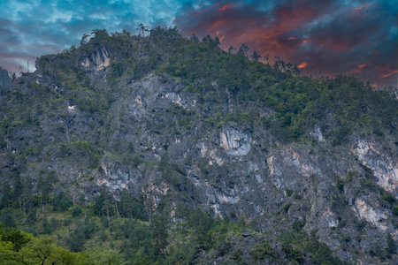 In the mountains of Abkhazia at an altitude of 1000 meters above sea level, many different types of trees grow, forming forests.の写真素材