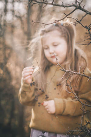 Little girl in the autumn forest. Selective focus. nature.の写真素材