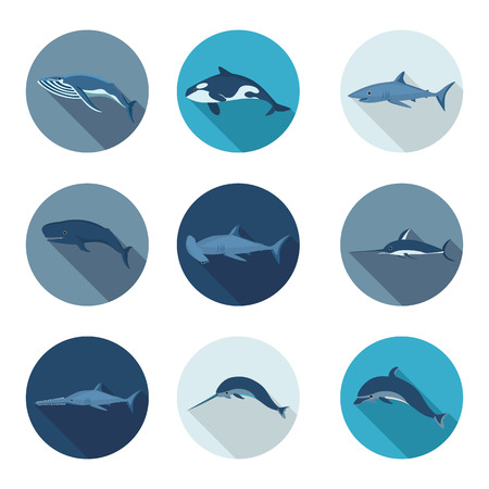 whales and fish flat icons のイラスト素材