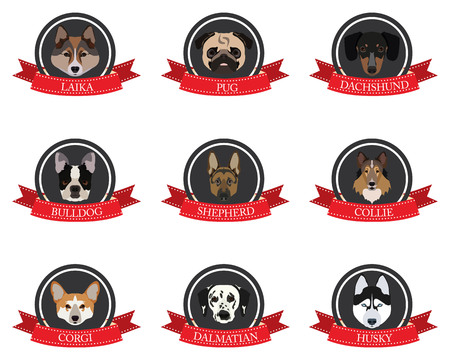 flat icons of pedigree dogs in vector format eps10のイラスト素材