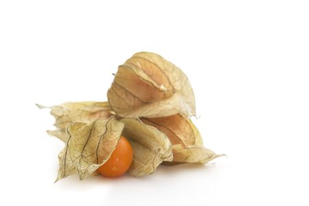 Physalis isolated on whiteの写真素材