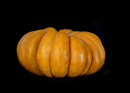 Pumpkin  isolated on blackの写真素材