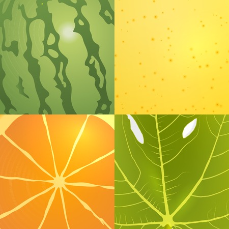 collection of vector fruits texturesのイラスト素材