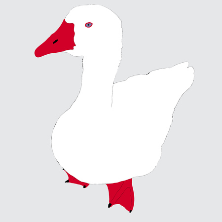 illustration of White farme goose on greyのイラスト素材