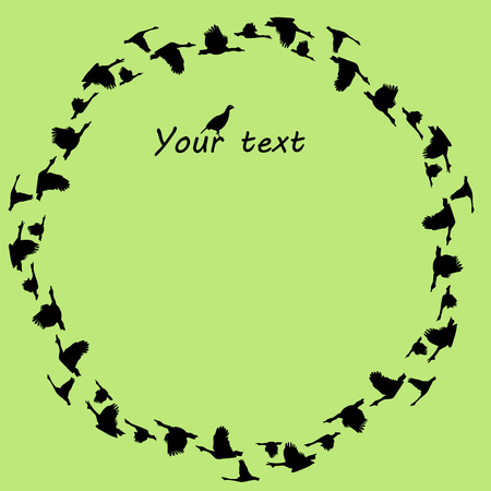 circular background with silhouettes flying geeseのイラスト素材