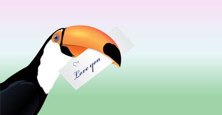 Vector Toucan head with Valentine cardのイラスト素材
