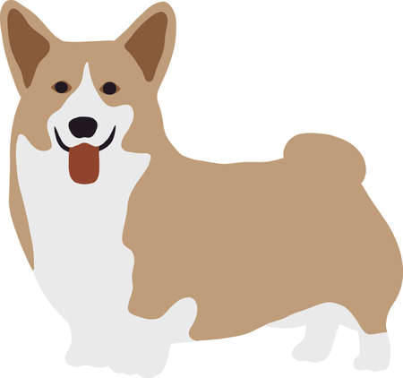 Cute dog breed corgi stands in full growthのイラスト素材