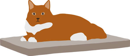 Red big cat lies on his couchのイラスト素材