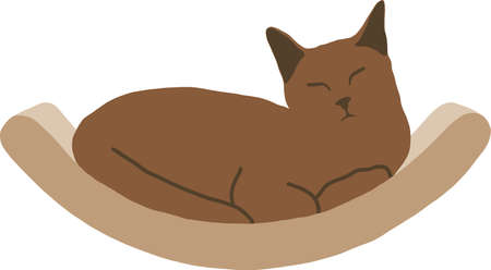 Brown cat sleeps in a ball in his couchのイラスト素材