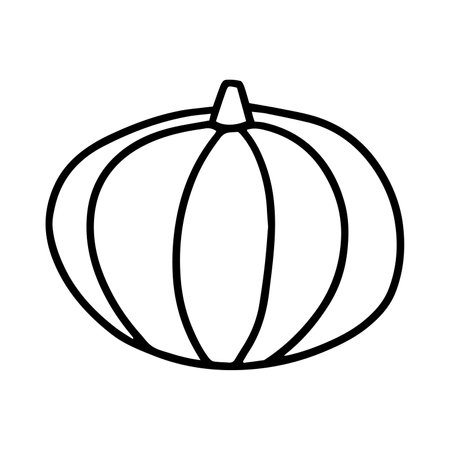 Doodle pumpkin vector isolated. hand drawn pumpkin sketchのイラスト素材