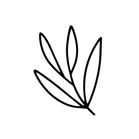 Hand drawn branch with leaves doolde vector clipartのイラスト素材