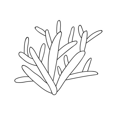 Hand drawn coral reef illustration. Doodle coral vector illustration.のイラスト素材