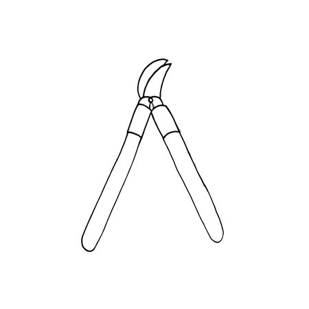 Garden shears doodle illustration. Secateurs vector outline illustration. Garden tool isolated on white background.のイラスト素材