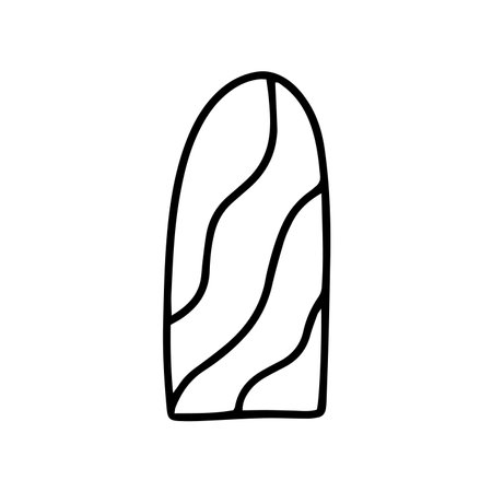Vector fingernail with lines isolatedのイラスト素材