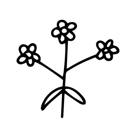 Doodle chamomile vector illustration. Hand drawn wild chamomile sketchのイラスト素材