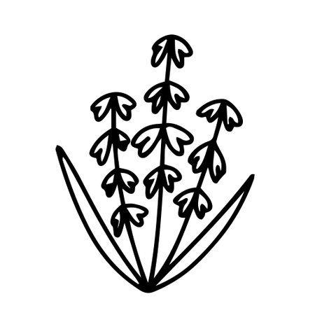 Hand drawn lily of the valley doodle illustration. Doodle lily of the valley flower vector sketchのイラスト素材