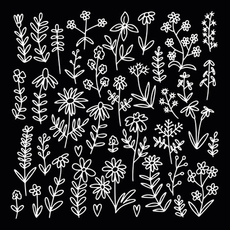 Vector doodle different kinds of flowers and herbs set. Big botanical wild flowers setのイラスト素材