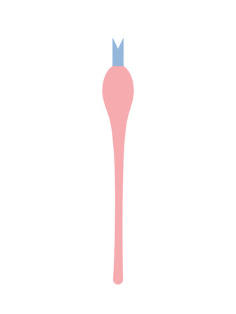 vector cuticle removal tool sketchのイラスト素材