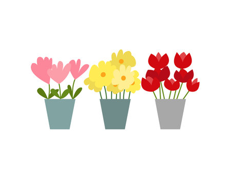 Vector flat flowers in pots set. Vector daffodils, tulips and roses flowersのイラスト素材
