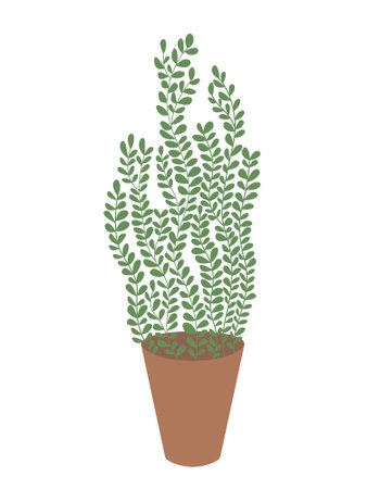 Vector house plant isolated. flat money tree flowerのイラスト素材