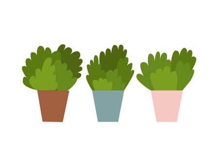 Vector flat cactuses in pots setのイラスト素材