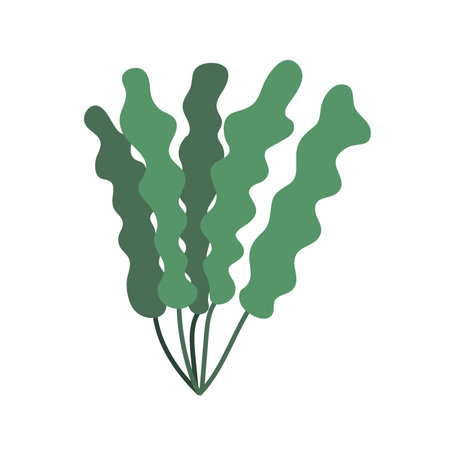 Vector marine algae flat illustration. green seaweed clipartのイラスト素材