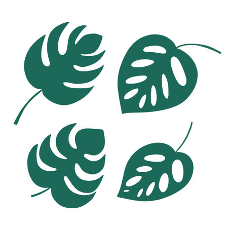 Different kinds monstera leaves set. Flat style morera leaves setのイラスト素材