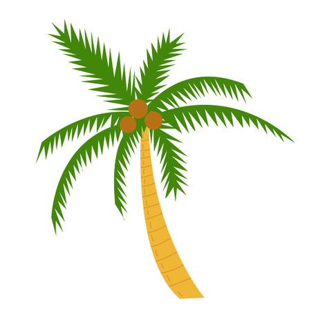 Vector flat style beach palm illustration.のイラスト素材