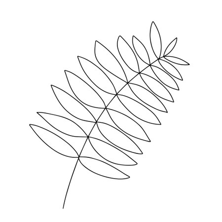 Vector branch with leaves hand drawn sketch. Outline leaves illustrationのイラスト素材