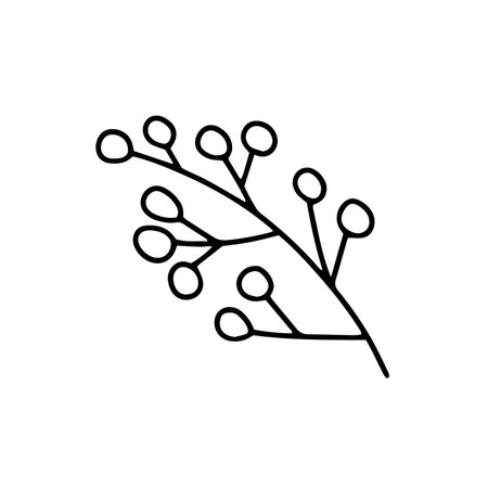 Ash berries branch vector sketchのイラスト素材