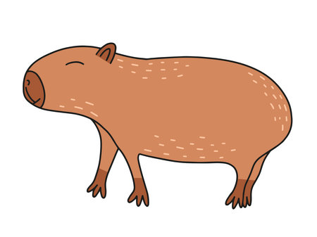 Capybara animal flat vector illustrationのイラスト素材