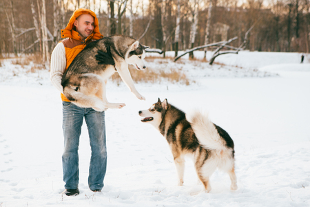 Man walking with dog winter time with snow in forest Malamute and Huskies friendship. Outdoor.の写真素材
