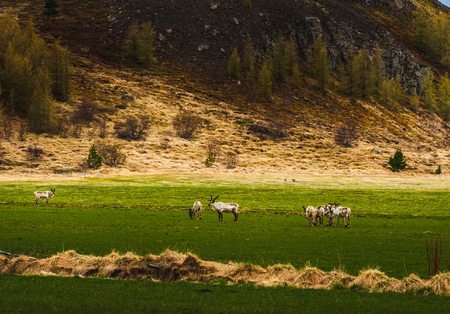 Nature background beautiful landscape mountains road hills clouds Iceland. Outdoor.の写真素材
