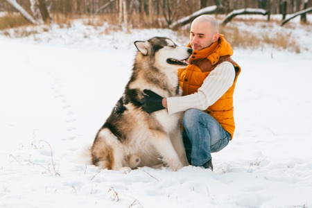 Man walking with dog winter time with snow in forest Malamute and Huskies friendship. Outdoor.