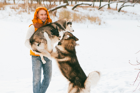 Man walking with dog winter time with snow in forest Malamute and Huskies friendship. Outdoor.の写真素材