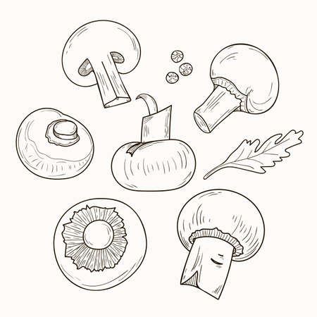 Champignons iconsのイラスト素材