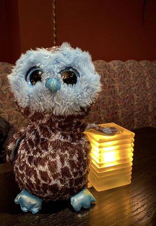 owl soft toy in candle lightの写真素材