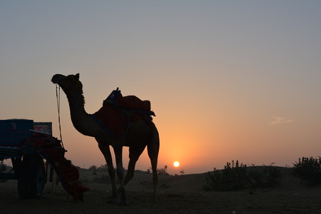 Sunset view in Indiaの写真素材
