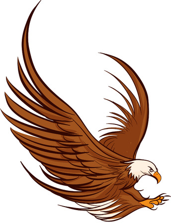 american bald eagleのイラスト素材
