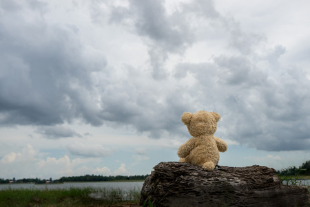 Alone bear doll,very sad,alone,lonely,dark tone,vintage stlye