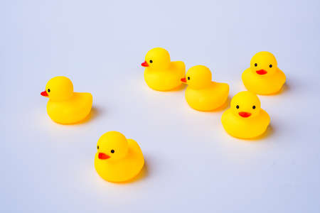 Yellow rubber ducks representing social norms and issues. Pandemic issues.の写真素材
