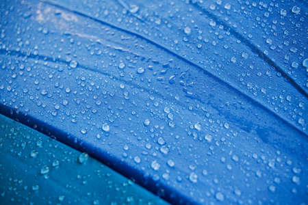 waterdrops on blue umbrella