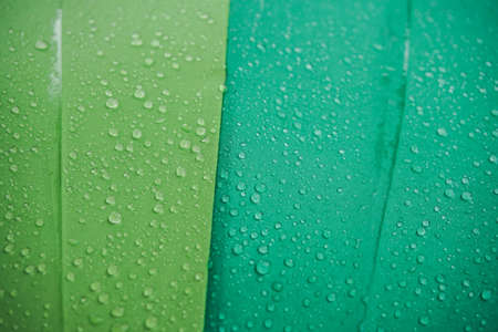 waterdrops on colorful umbrellaの写真素材