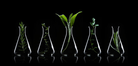 Bottle of essential oil with herbs rosemary, thyme, sage, oregano and lavender on back background. Collection of herbal and spices low key.の写真素材