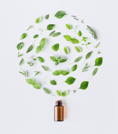 Bottle of essential oil with round shape of fresh herbs and spices basil, sage, rosemary, oregano, thyme, lemon balm,spearmint and peppermint setup with flat lay on white backgroundの写真素材