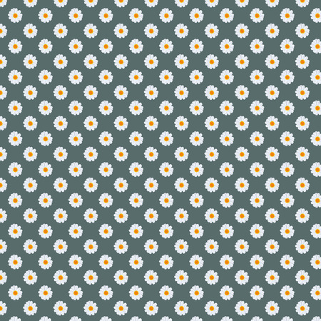 5000x5000px 300dpi Fancy Daisies Daisy field floral Pattern Background/ Digital Paperの写真素材